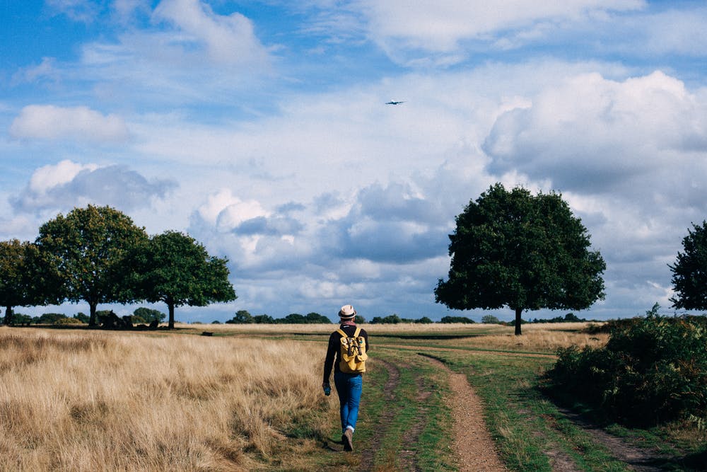 Quali sono i benefici del camminare nella natura?